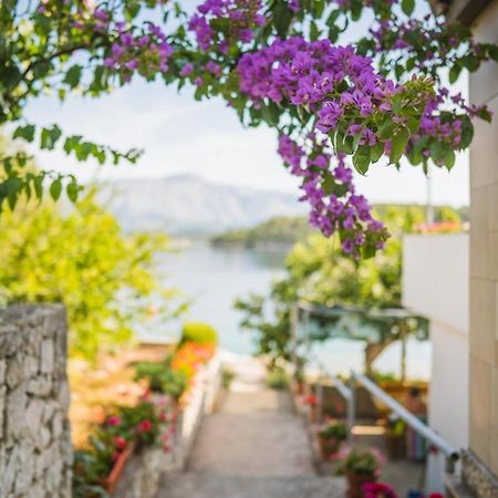 Apartments by the sea Lumbarda, Korcula - 4446 Bagian luar foto