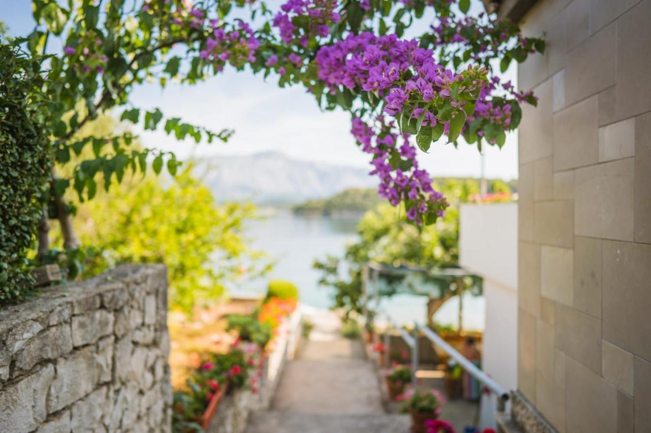 Apartments by the sea Lumbarda, Korcula - 4446 Bagian luar foto