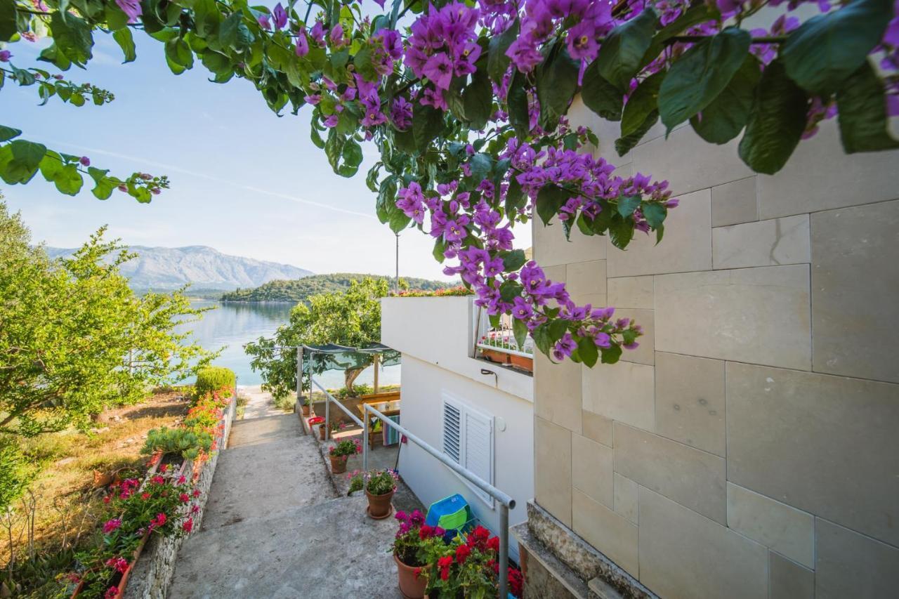 Apartments by the sea Lumbarda, Korcula - 4446 Bagian luar foto